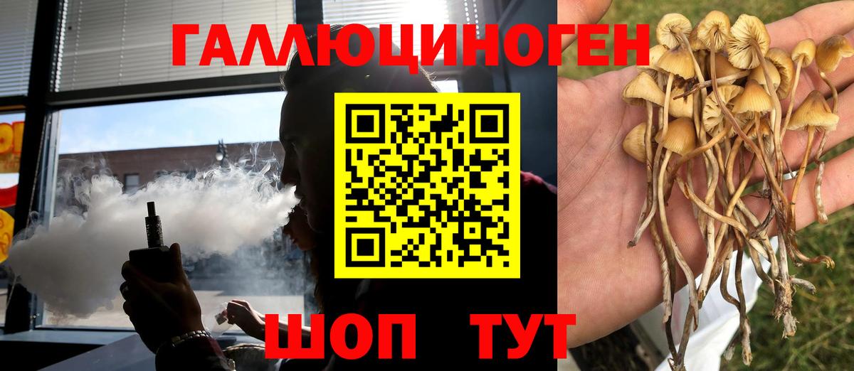 Галлюциногенные грибы ЛСД  Галлюциногенные грибы прущие грибы  Вход с VPN  Железногорск 